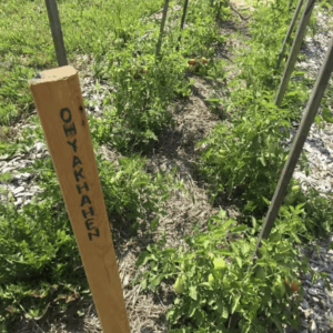 Kenhtè:ke Seed Sanctuary & Learning Centre