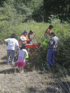 Upper Nicola Indian Band